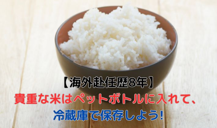 【海外赴任歴8年】貴重な米はペットボトルに入れて、冷蔵庫で保存しよう!